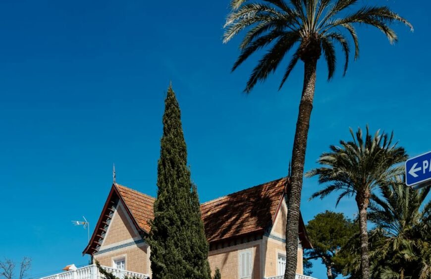 small villa with palm trees across the street